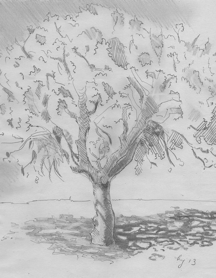 Tree Drawing by Mike Jory