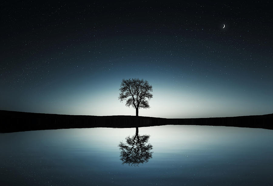 Nature Photograph - Tree near lake at night by Bess Hamiti