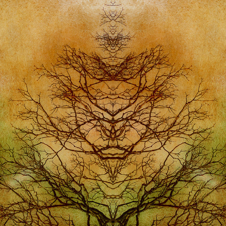 Tree of Life Abstract Nature Digital Art by Melissa Bittinger