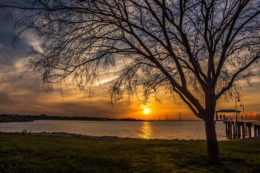 Sunset Photograph - Tree of Life by Brad Monnerjahn
