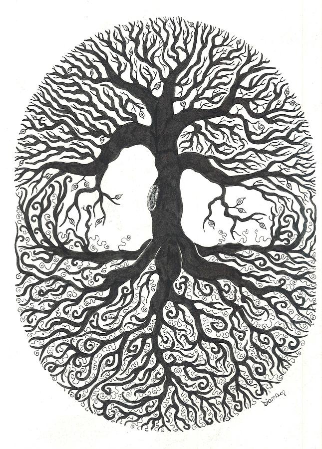 Tree of Life Drawing by Diane Pugh Fine Art America