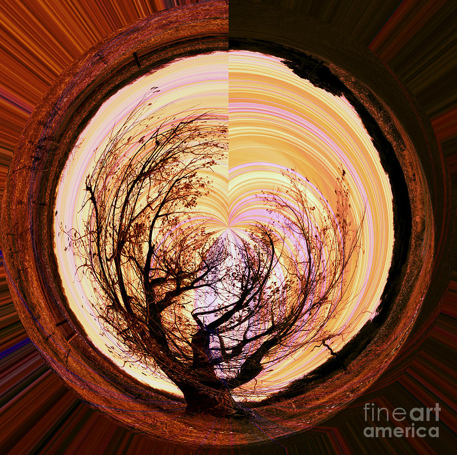 Nature Photograph - Tree of Life by Molly McPherson