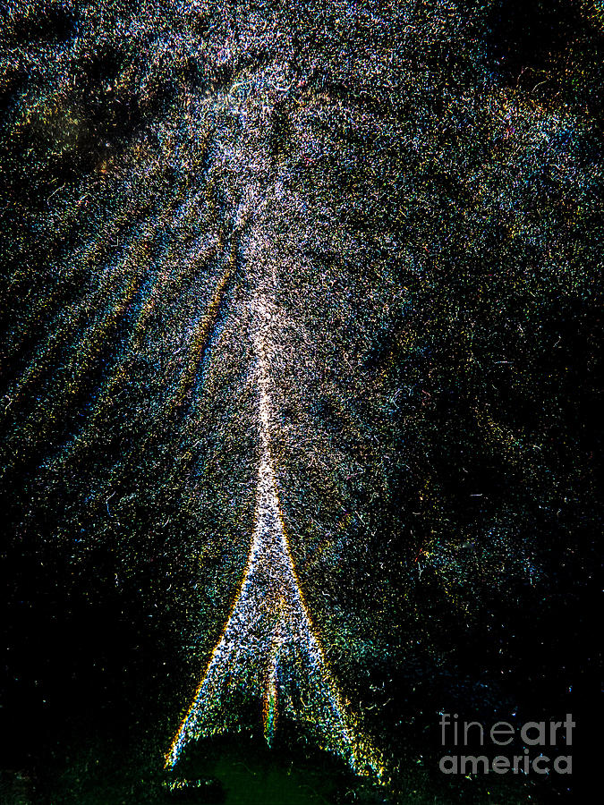 Tree of light Photograph by Casper Cammeraat