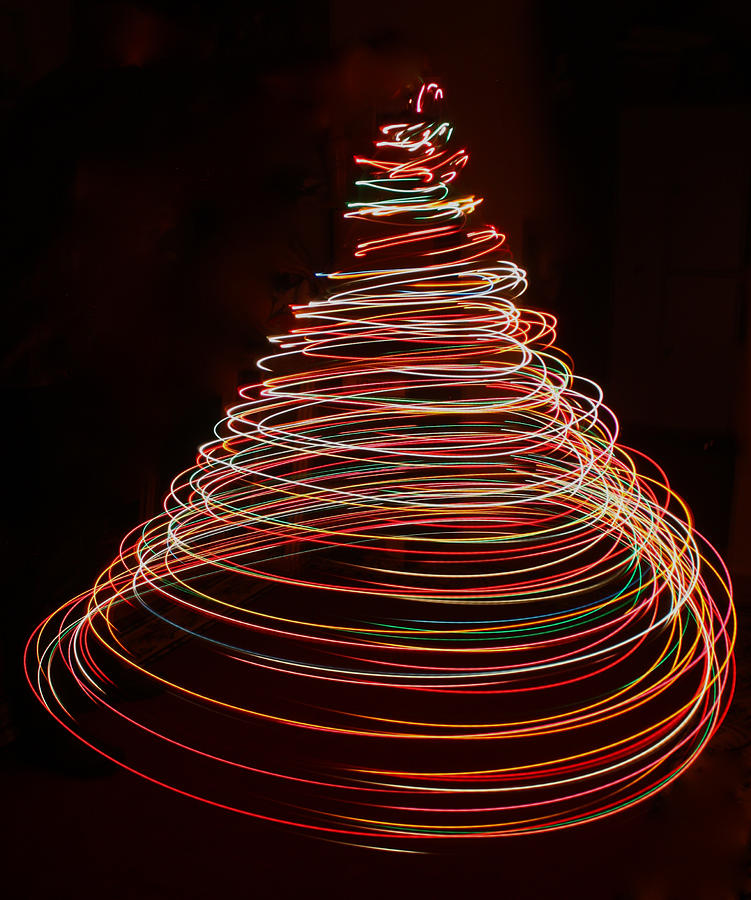 Tree of Light Photograph by Cathie Douglas