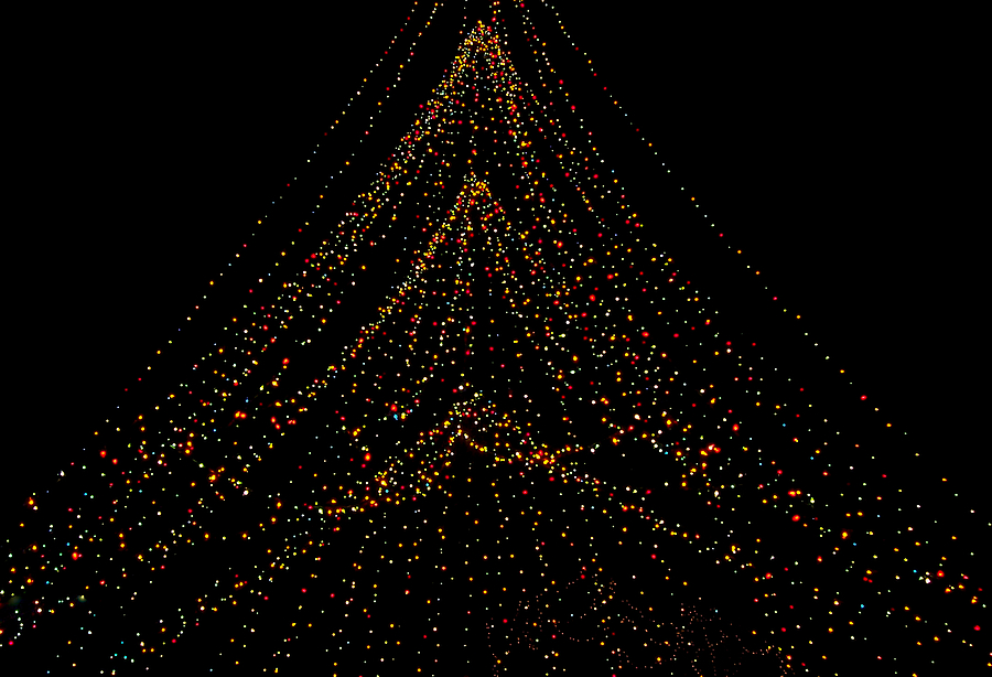 Tree of Lights Photograph by Christi Kraft