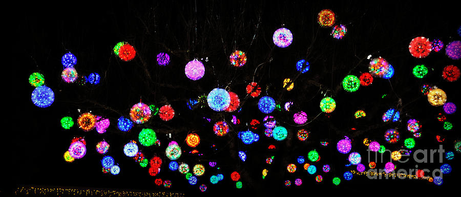 Tree of lights Photograph by Mindy Bench