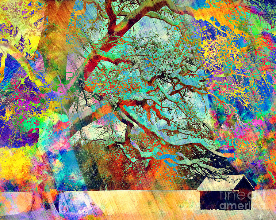 Tree of Many Colors Photograph by Edmund Nagele FRPS