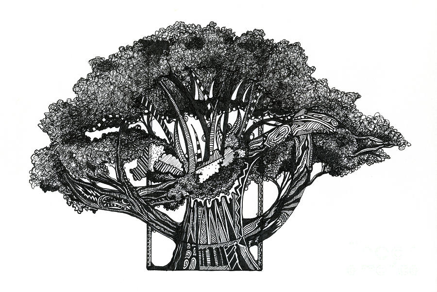 Tree of Summer Drawing by Danielle Scott