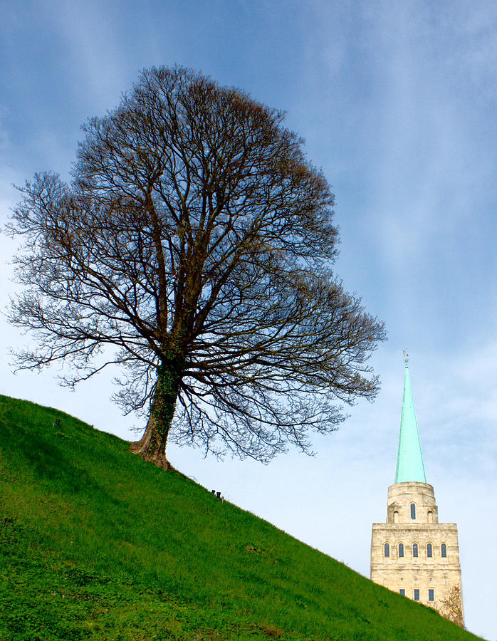 Tree on a Hill Photograph by Jeremy Hayden
