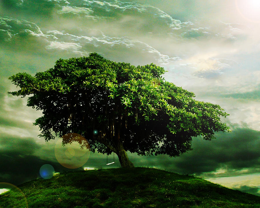 Tree on a Hill Digital Art by Jose Mendoza - Fine Art America