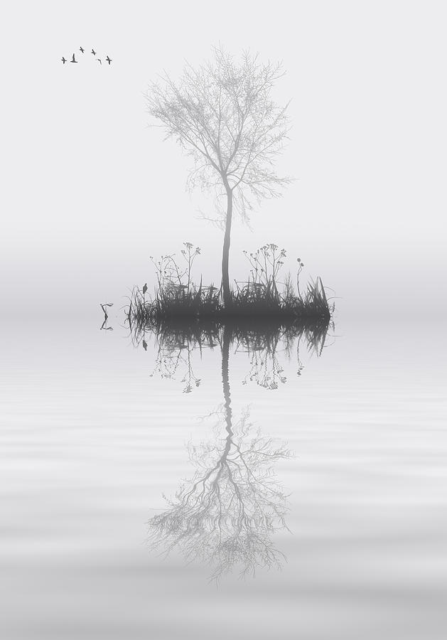 Nature Photograph - Tree on lake landscape solitude concept by Matthew Gibson