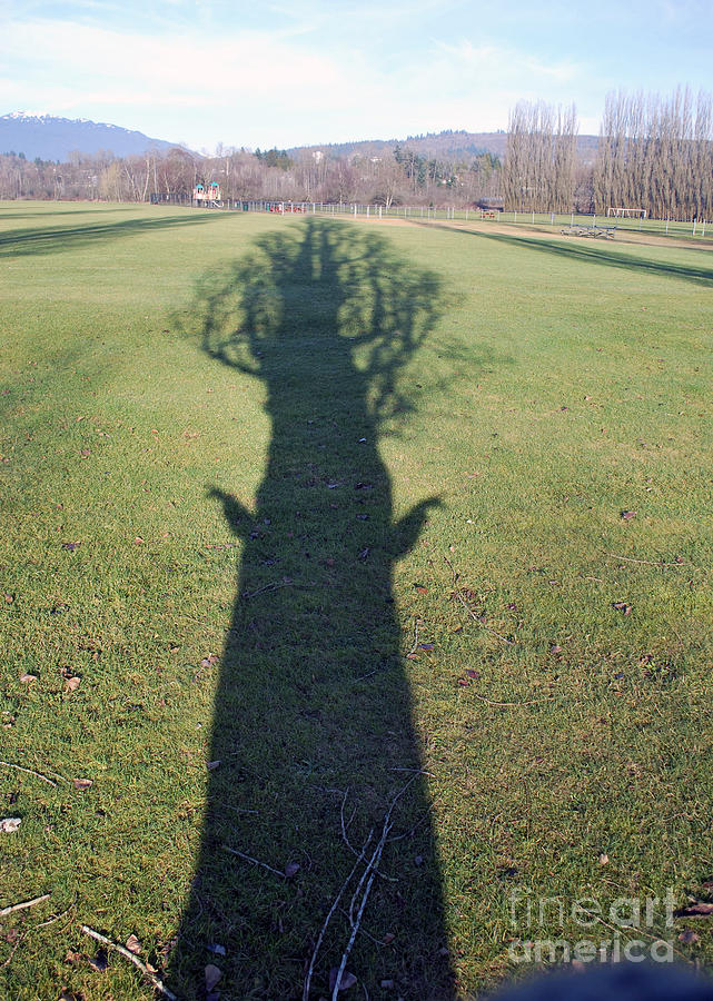 Tree People #1 Photograph by Bill Thomson