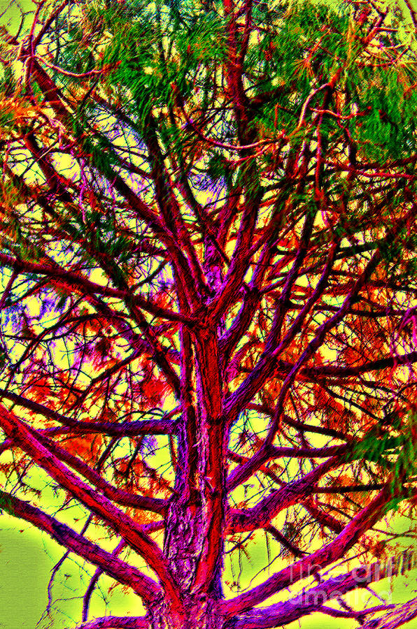 Tree Digital Art by Pravine Chester