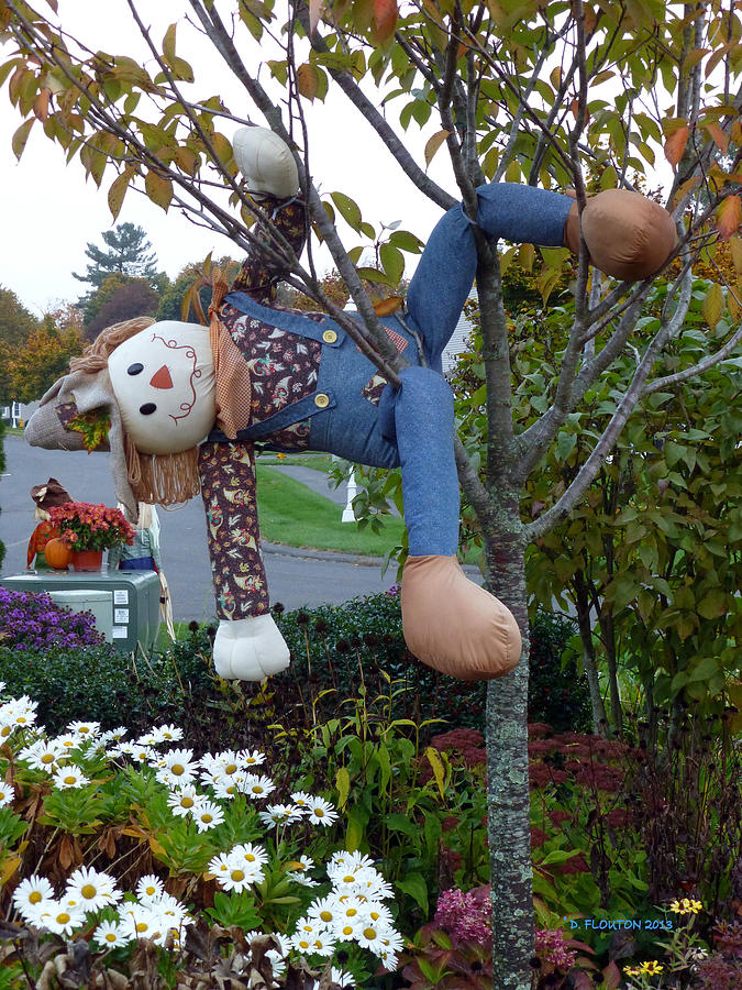 Tree Rag Doll Photograph by Dee Flouton