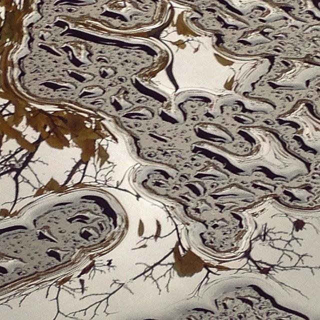 Abstract Photograph - Tree Reflected In Pooled Water  by Alison Photography