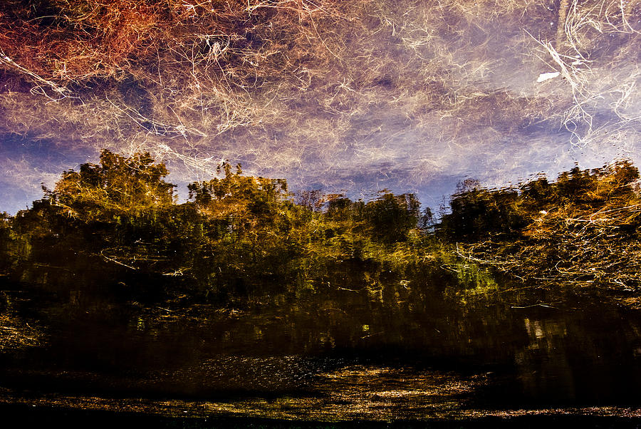 Tree Reflection 6 Photograph by Grebo Gray