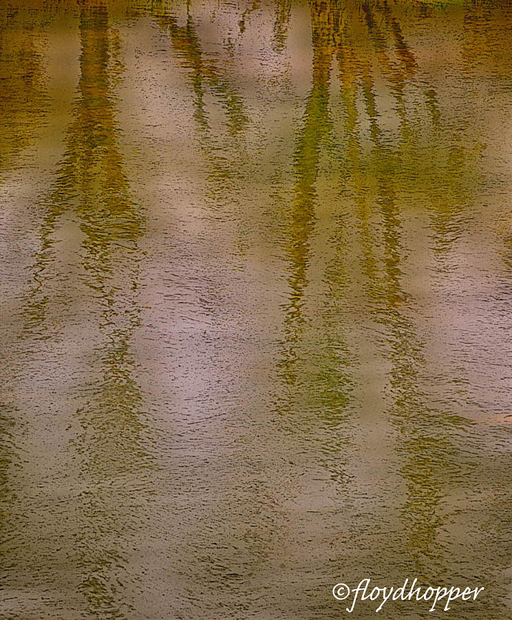 Tree Reflection Photograph by Floyd Hopper - Fine Art America