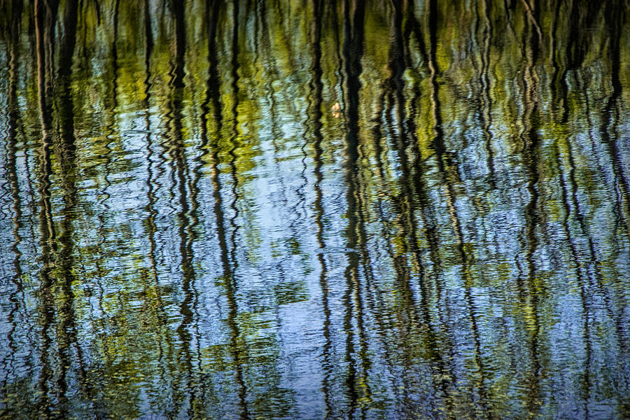 Tree reflections on a pond in West Michigan Photograph by Randall Nyhof