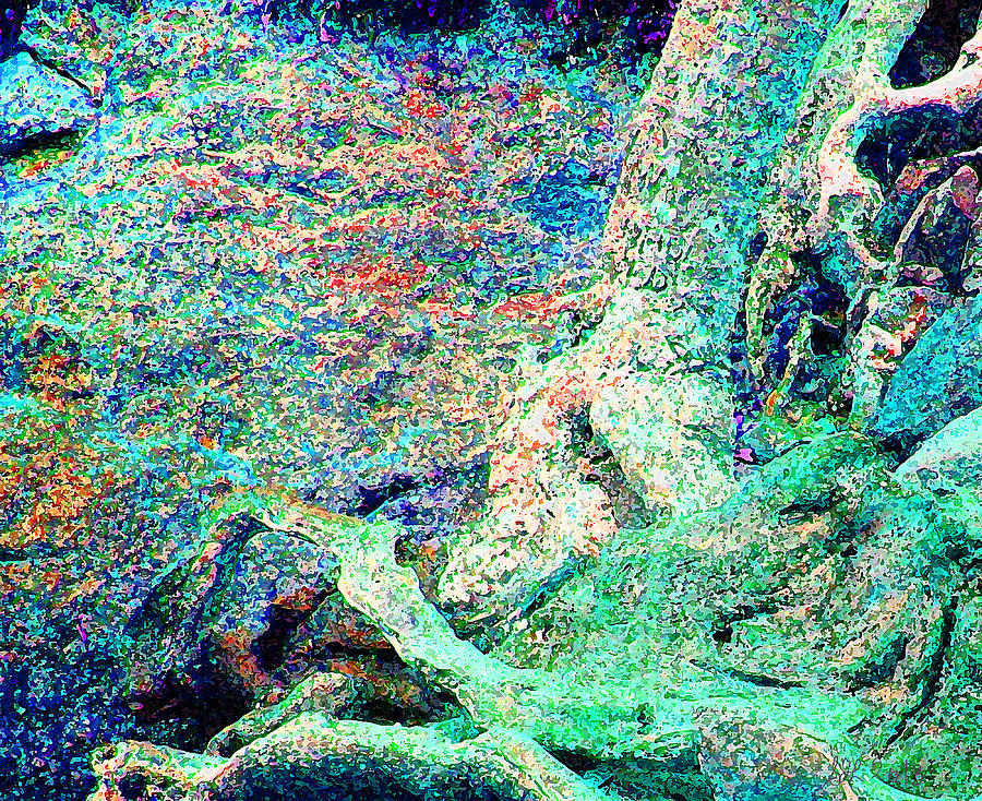 Tree Roots and Rocks Digital Art by Stephanie Grant