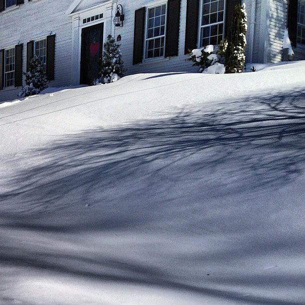 Tree Shadow On A Snow Bank Photograph by Jim Spencer