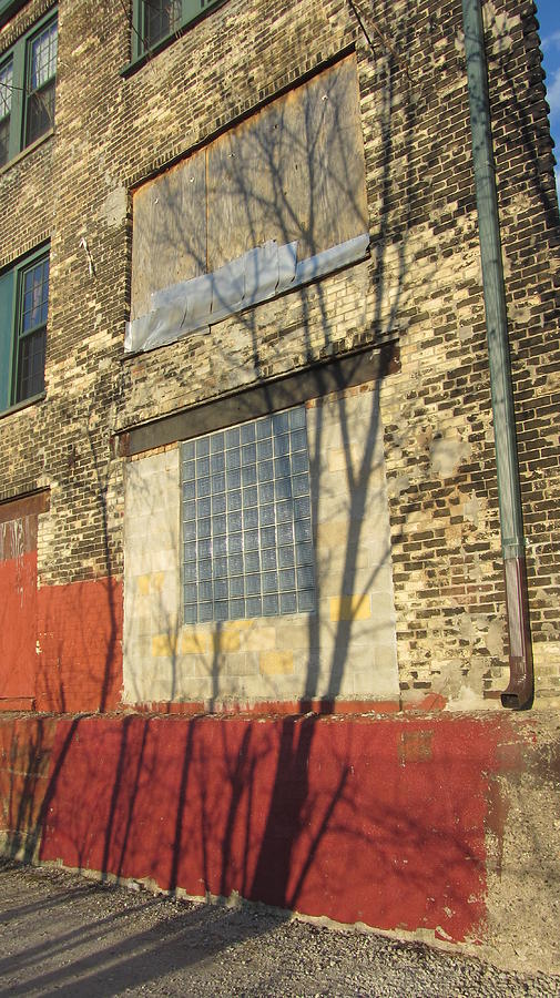 Tree Shadow on Brick 1 Photograph by Anita Burgermeister