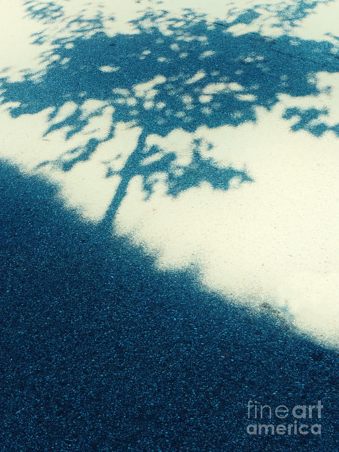Tree shadow on street asphalt Photograph by Silvia Ganora
