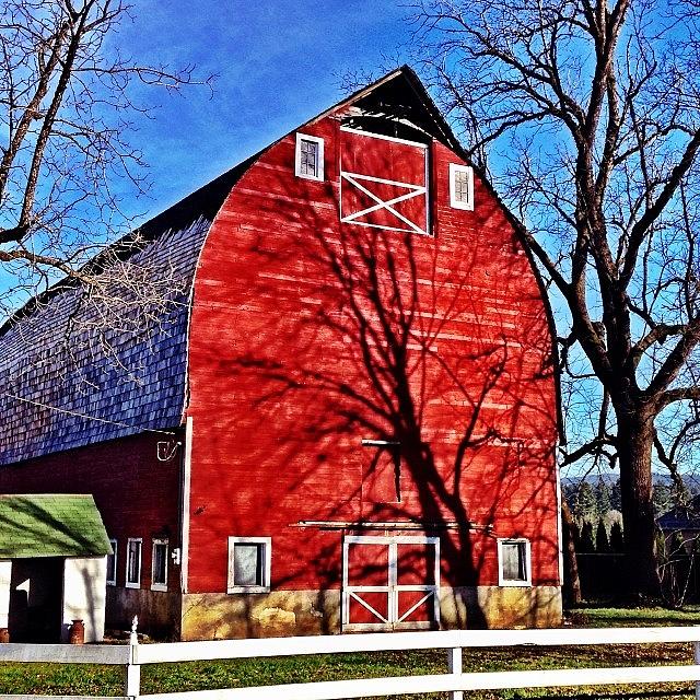 Tree Shadows Cast Upon The Big Red Barn Photograph by Jon Kraft