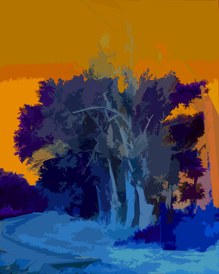 Abstraction Photograph - Tree Shadows by John Lautermilch Abstraction Photograph - Tree Shadows by John Lautermilch