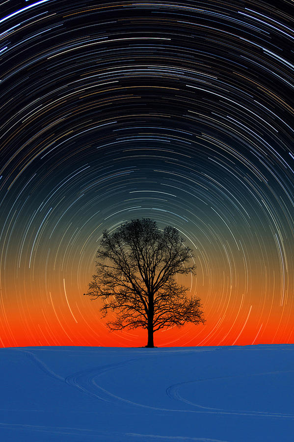 Winter Photograph - Tree Silhouette With Star Trails by Larry Landolfi