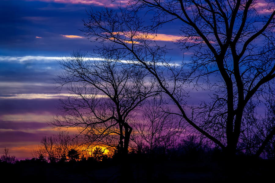 Tree Silhouettes at Dusk 1 Photograph by Chuck De La Rosa