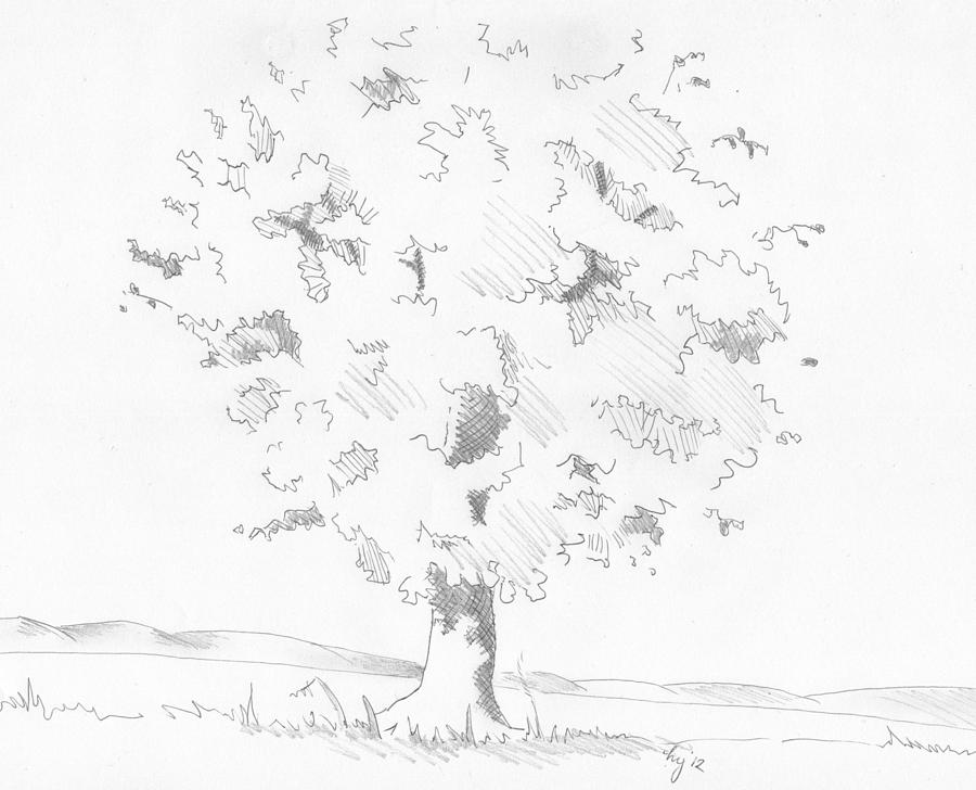 Tree Sketch Drawing by Mike Jory
