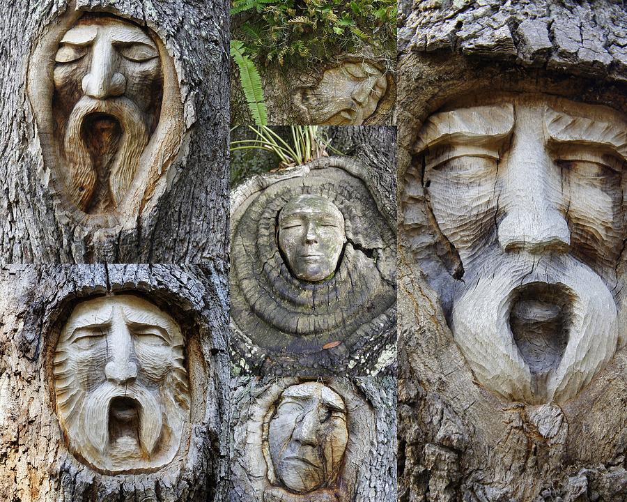 Tree Spirits Photograph by Laurie Perry