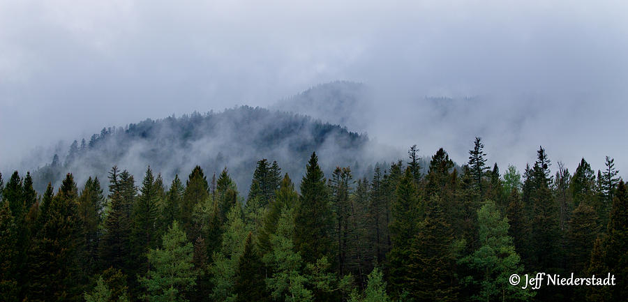 Tree top clouds Photograph by Jeff Niederstadt