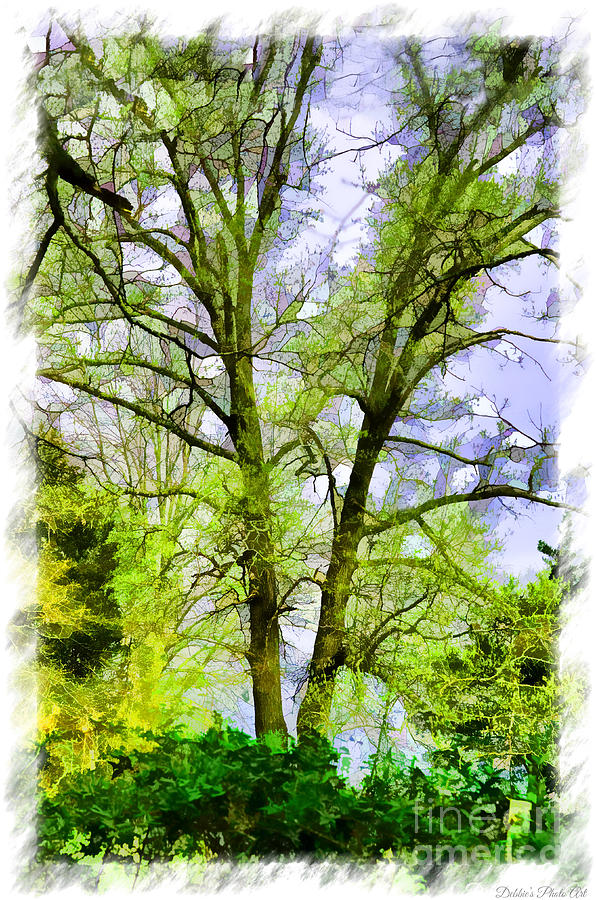 Tree Tops IV with Frame - Digital Paint Photograph by Debbie Portwood