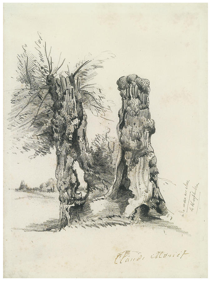 Claude Monet Drawing - Tree Trunks at La Mare eu Clere by Claude Monet