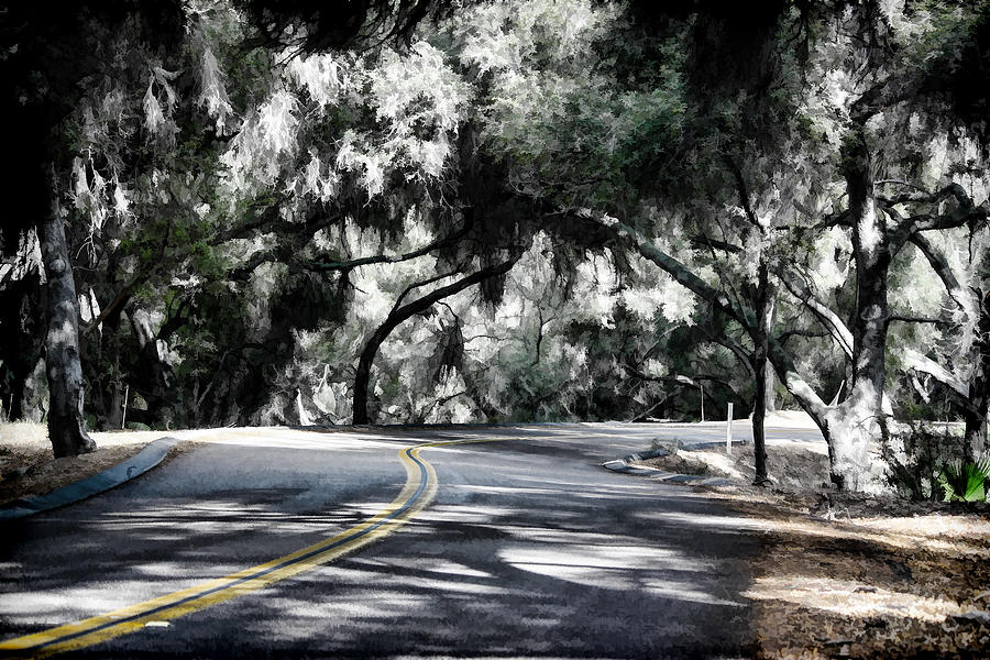Tree Tunnel Digital Art by Photographic Art by Russel Ray Photos