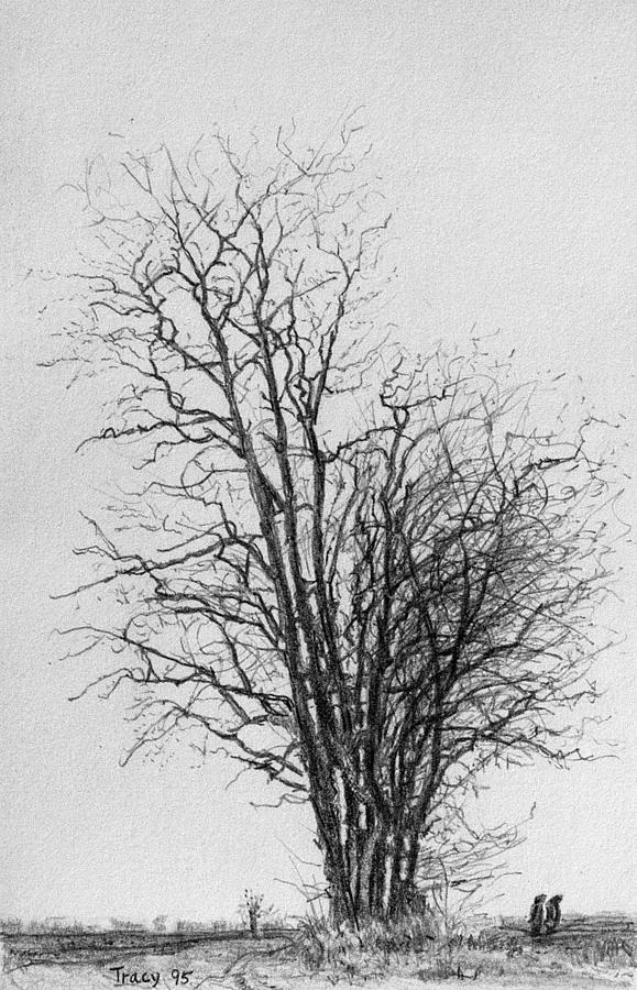 Tree with Figures Drawing by Robert Tracy | Fine Art America