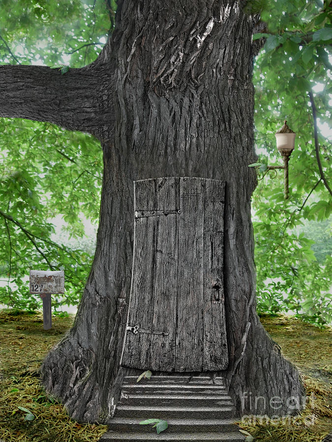 Fantasy Photograph - Treehouse Door by Mike Agliolo