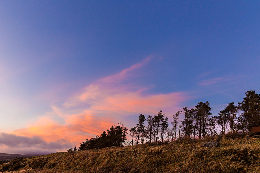 Treeline at sunset in Wicklow Mountains Photograph by Semmick Photo