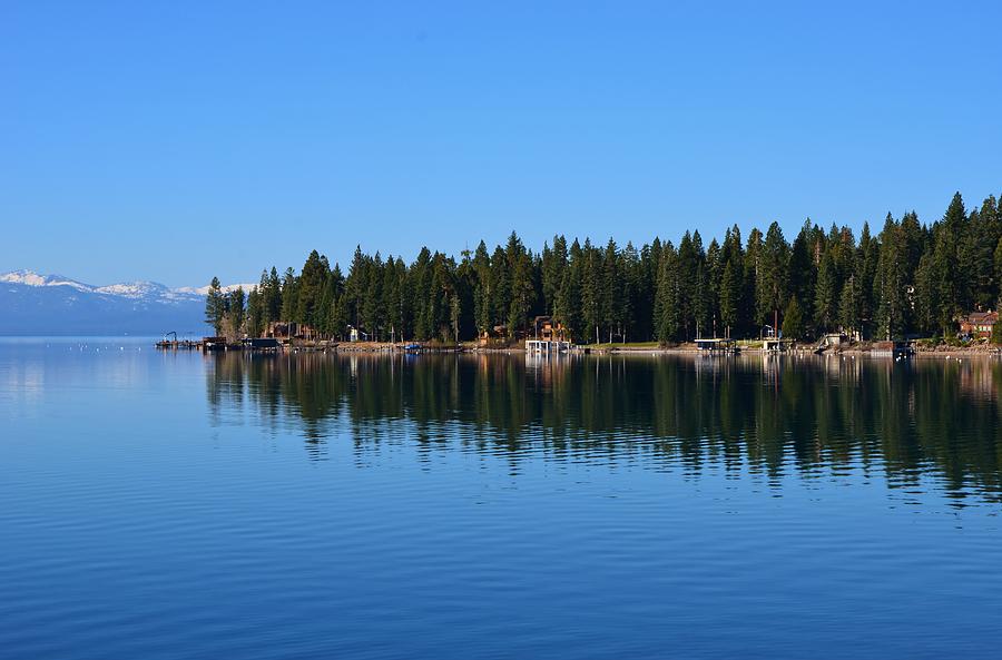 Treeline Lake Tahoe Photograph by Marilyn MacCrakin