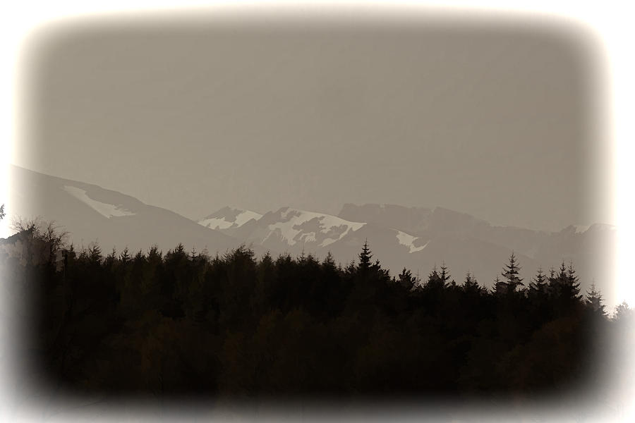 Treeline with ice capped mountains in the Scottish Highlands Photograph by Ashish Agarwal