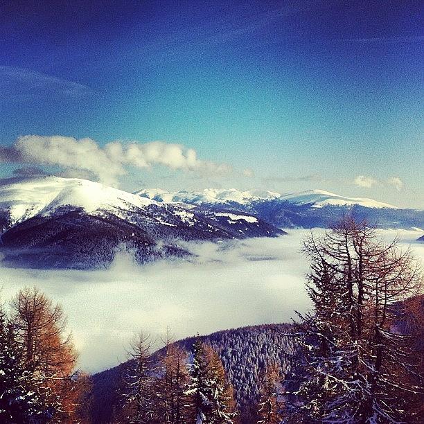 Mountain Photograph - #treeporn #skiurlaub #skyporn #skiing by Marta  Houseress