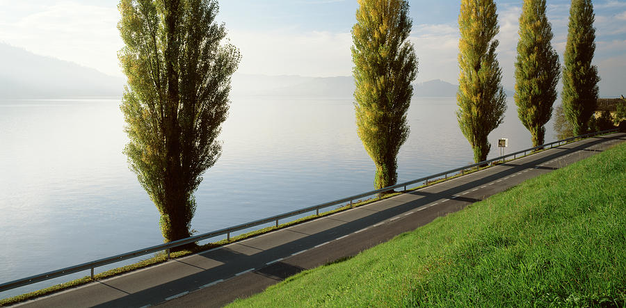Nature Photograph - Trees Along A Lake, Lake Zug by Panoramic Images