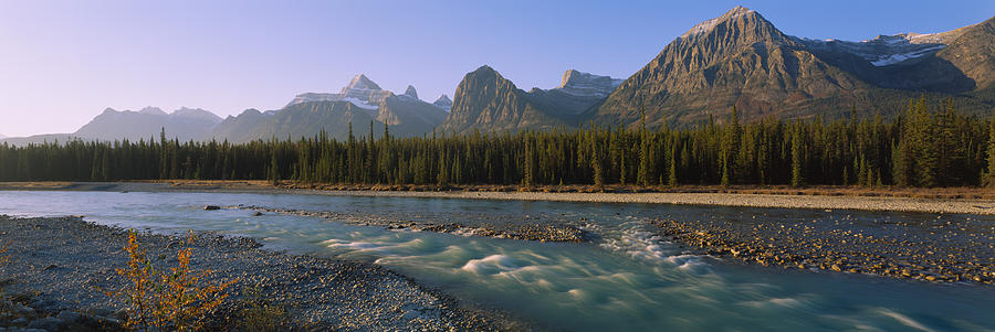 Trees Along A River With A Mountain Photograph by Panoramic Images