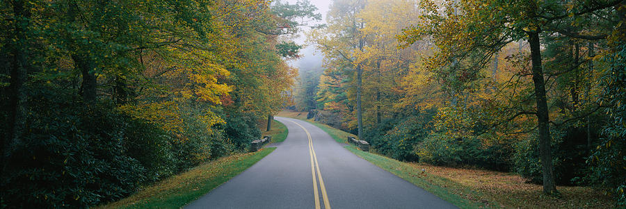 Fall Photograph - Trees Along A Road, Blue Ridge Parkway by Panoramic Images
