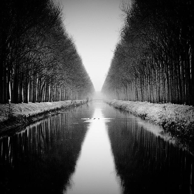 Belgium Photograph - Trees Alongside A Canal In Damme by Mattias Pruym
