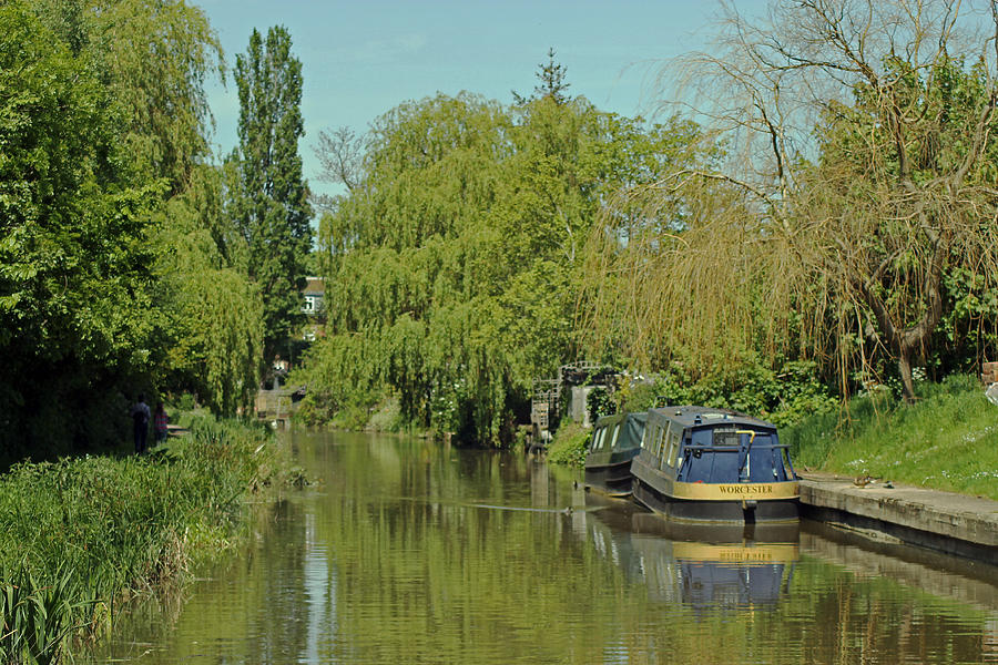 Trees alongside the Oxford Canal Photograph by Tony Murtagh