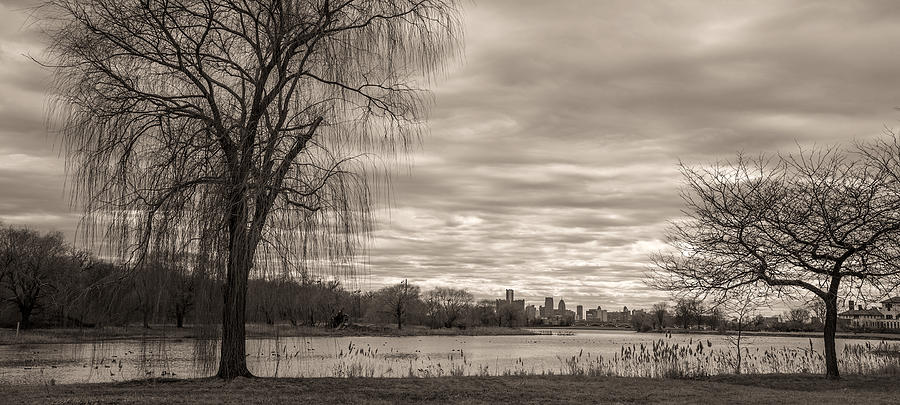 Detroit Photograph - Trees and Detroit skyline  by John McGraw