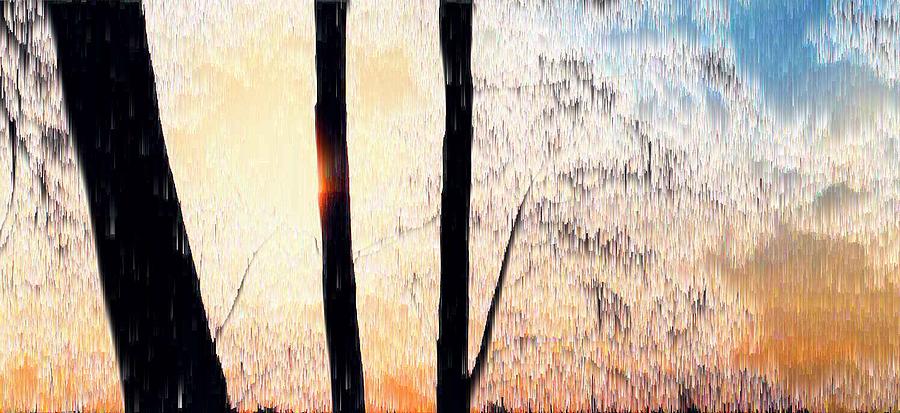 Trees and Light  Digital Art by Lyle Crump