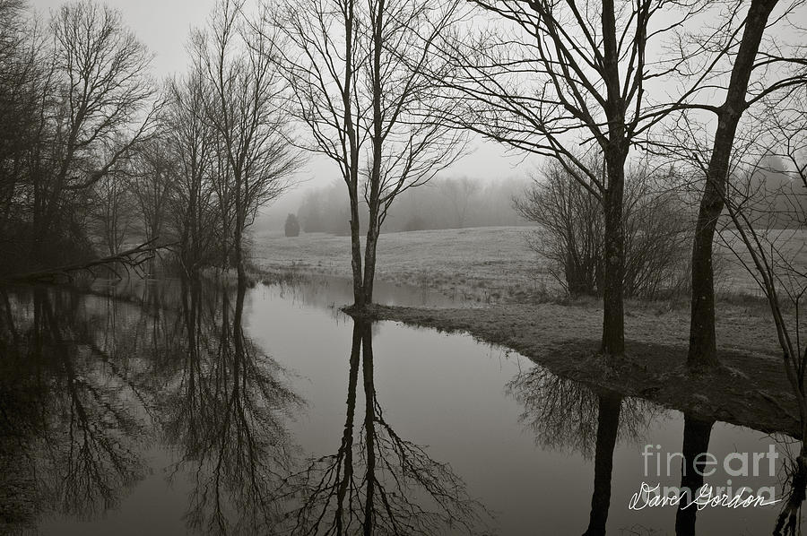 Trees and Reflections Photograph by David Gordon